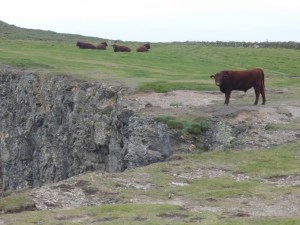 151024 Mawgan Porth to Padstow 29